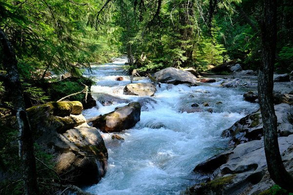Quels sont les meilleurs itinéraires pour une randonnée dans le Parc national de Sarek, Suède : conseils et équipements ?